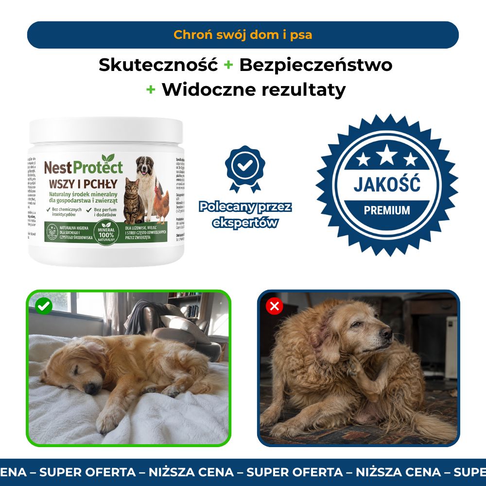 🐶 Nest Protect | Przeciw Pchłom i Kleszczom