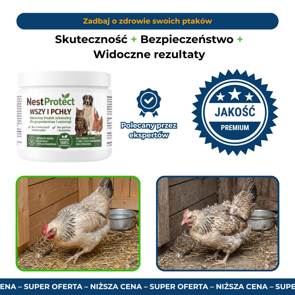 Nest Protect – Ochrona Ptaków